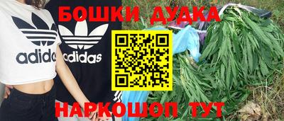 прущие грибы Кунгур