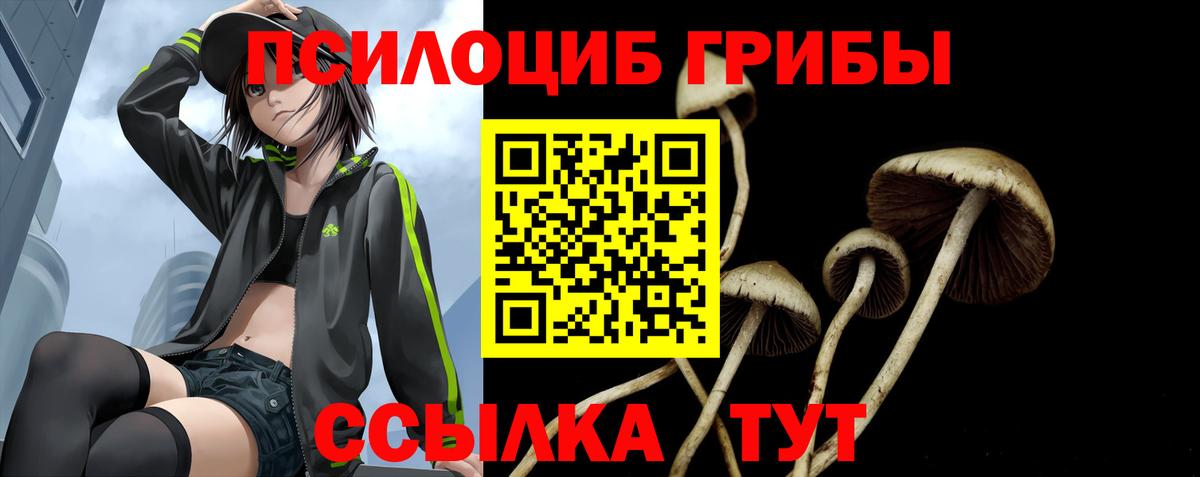 Галлюциногенные грибы Cubensis Заводоуковск