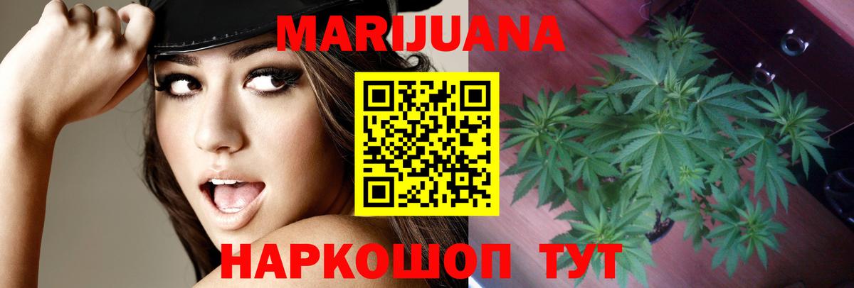 Канабис ГИДРОПОН  Вход с VPN  Шишки марихуана Amnesia  Заводоуковск  Шишки марихуана сатива 